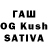 ТГК Wax Ramazan Bidjev