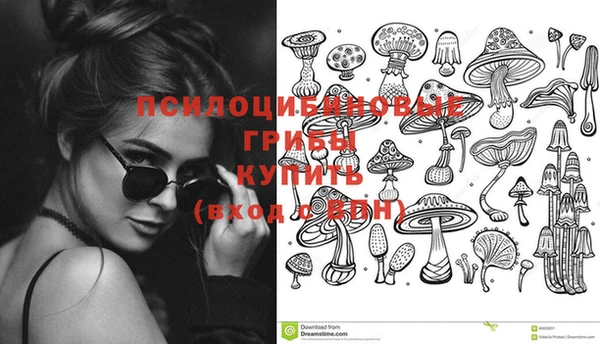 спиды Елизово