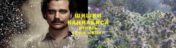 спиды Елизово
