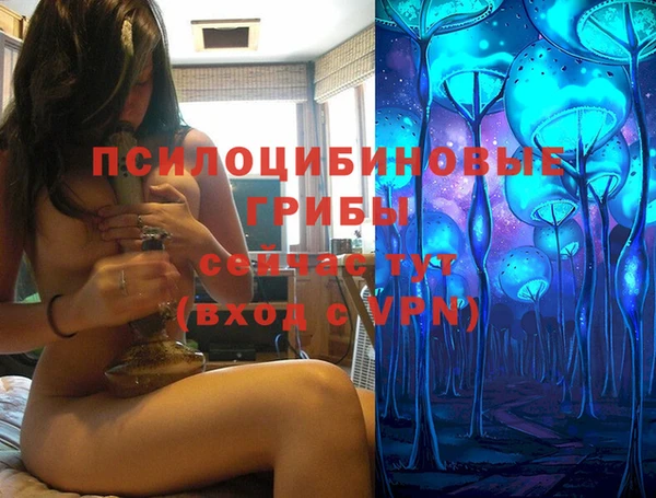 спиды Елизово