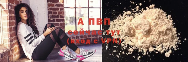 спиды Елизово