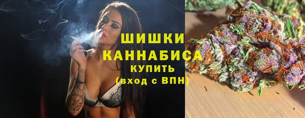 гидра Заводоуковск