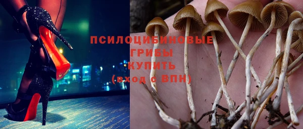 спиды Заволжск